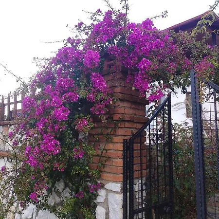 Kucukdere * Muğla